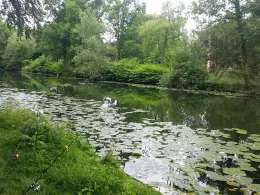 Seniorengraben (Hildesheim)-1