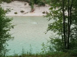 Saalach (Freilassing)-0