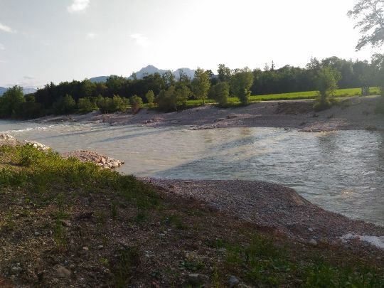 Saalach (Freilassing)-2