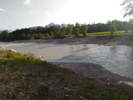 Saalach (Freilassing)-2