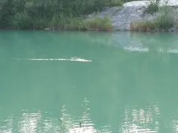 Saalach (Freilassing)-3