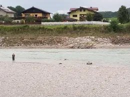 Saalach (Freilassing)