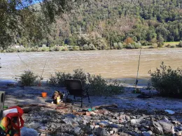 Donau (Jochenstein)-2