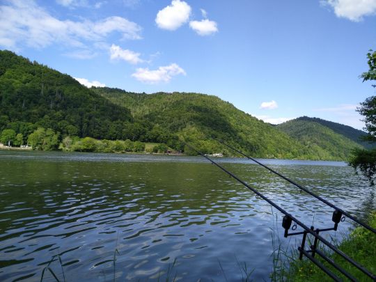 Donau (Jochenstein)-2