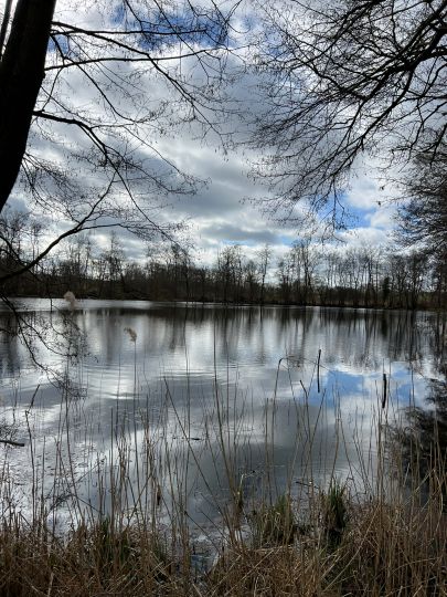 Straßensee (Karstorf)-2