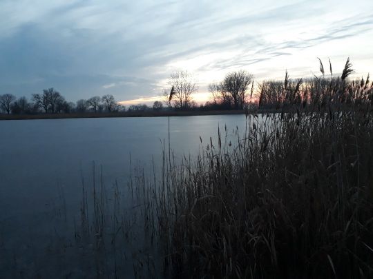 Im Todtleben (Wolmirsleben)