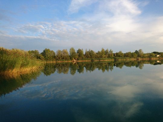 Baggersee Möllenbronn (Fronreute)-2