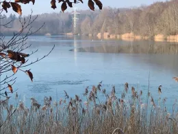 Baggersee Möllenbronn (Fronreute)-1