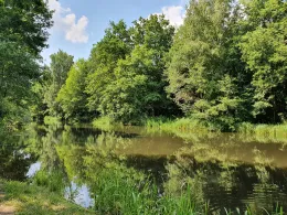 Schöpfwerk Linther Busch