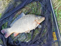 Dortmund-Ems-Kanal (Meppen)-3