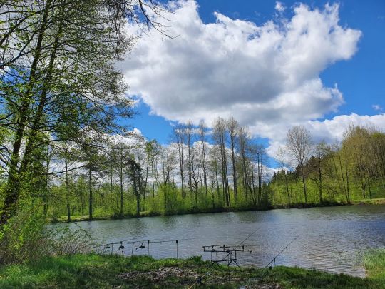 Roßner Teich ALLE ANGELN