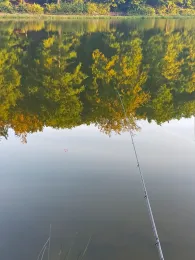 Waldsee Niedernhausen-4