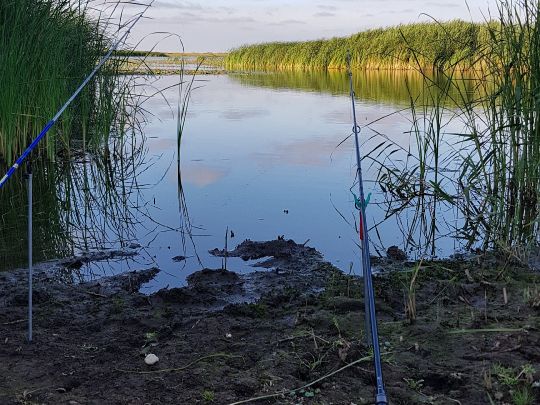 Ruttebüller See-2