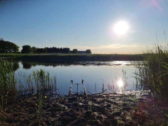 Ruttebüller See-4