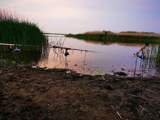 Ruttebüller See-3