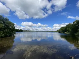 Apeler See-2