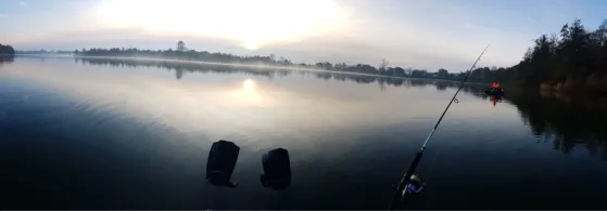 Stoteler See-3