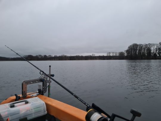 Haussee (Feldberger Seenlandschaft) angeln