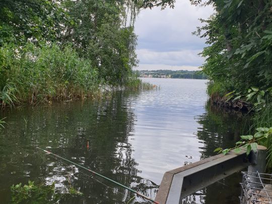 Haussee (Feldberger Seenlandschaft)-4