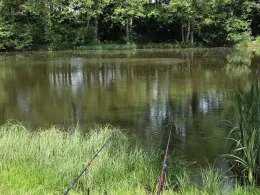 Irfersgrüner Weiher-2