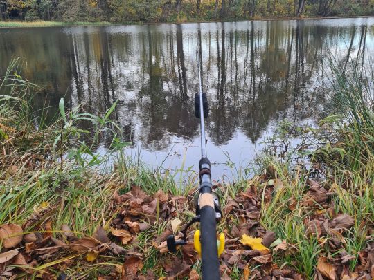 Irfersgrüner Weiher ALLE ANGELN