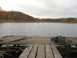 Andreasteich (Walkenried)