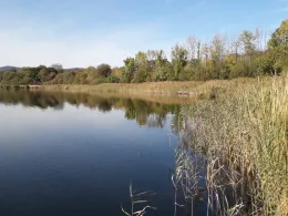 Andreasteich (Walkenried)-1