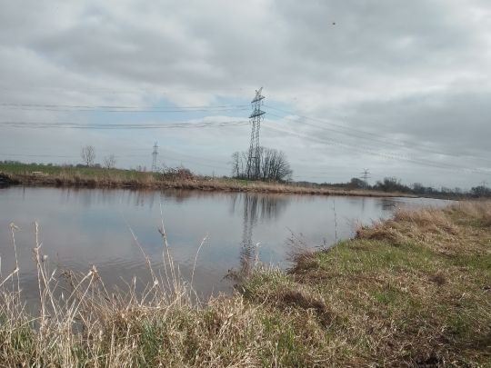 Friedeburger Tief (Neustadtgödens)-3