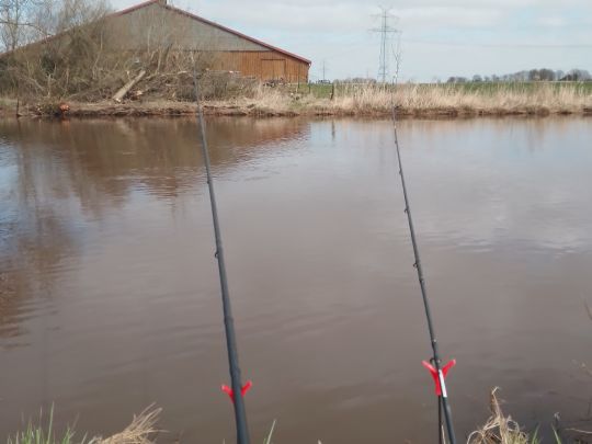 Friedeburger Tief (Neustadtgödens)-2