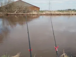 Friedeburger Tief (Neustadtgödens)-2