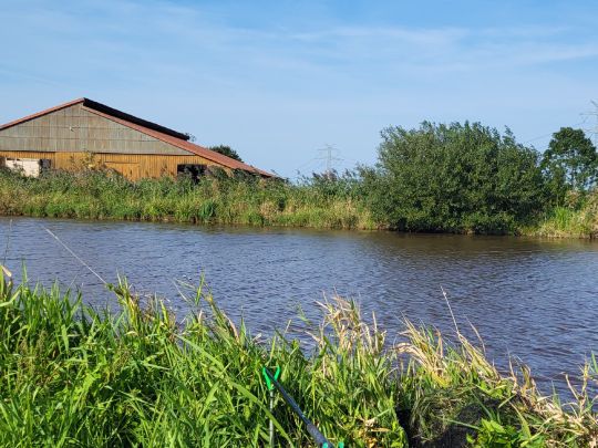 Friedeburger Tief (Neustadtgödens)-1