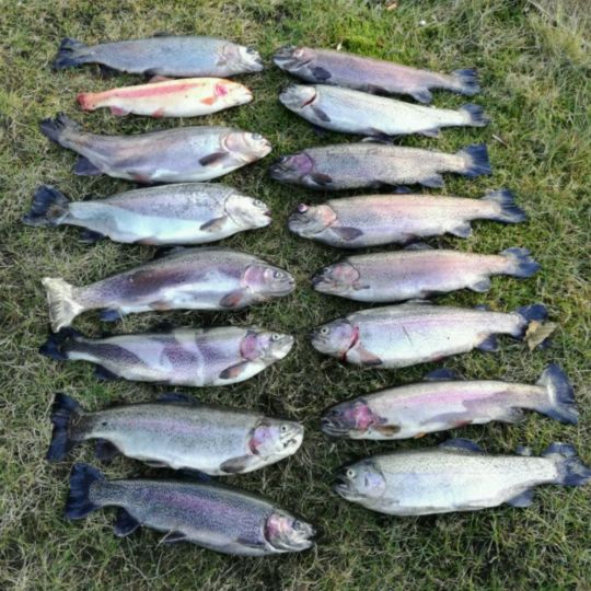 Angelsee Jevenstedt-1