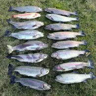 Angelsee Jevenstedt-1