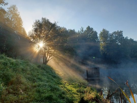 Herrenteich (Wiesenbad)-1