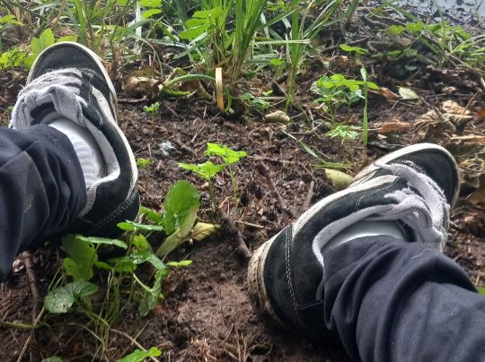 Breiter Graben (Güstrow)-2