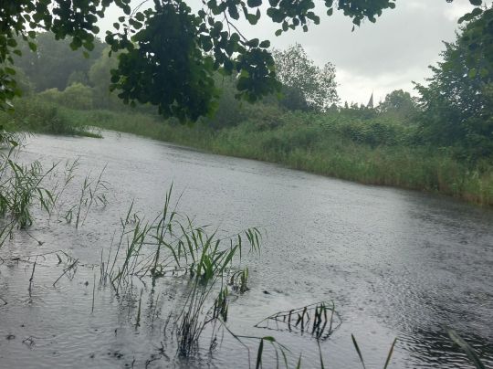 Breiter Graben (Güstrow)-1