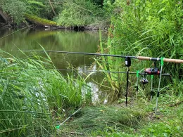 Eisenbahnerteich (Podelwitz)-3