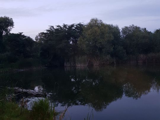 Eisenbahnerteich (Podelwitz) ALLE ANGELN