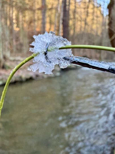 Sebnitz (Rathmannsdorf)-1