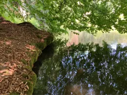 Sebnitz (Rathmannsdorf)