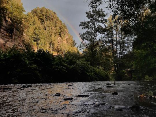 Sebnitz (Rathmannsdorf)-2