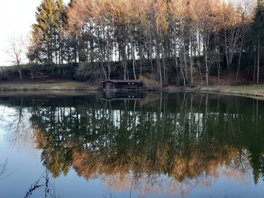 Dokopil Weiher-1
