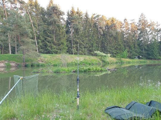 Ungelstetter Weiher-2