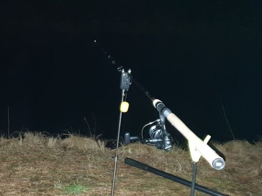 Ungelstetter Weiher-3