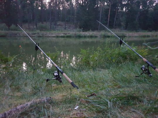 Ungelstetter Weiher-1