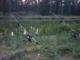 Ungelstetter Weiher-1