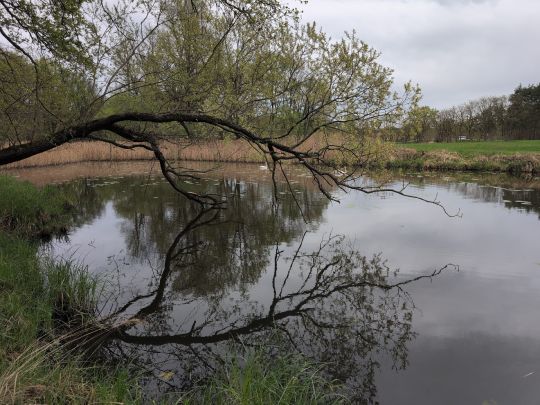Rotes Loch (Prieschka)