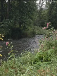 Gaißa (Aicha vorm Wald)