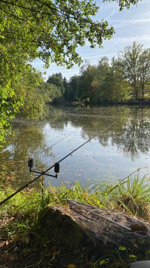 Kollerweiher (Bayreuth)-1