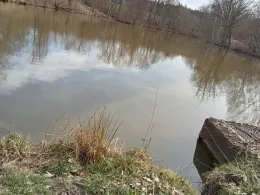 Kollerweiher (Bayreuth)